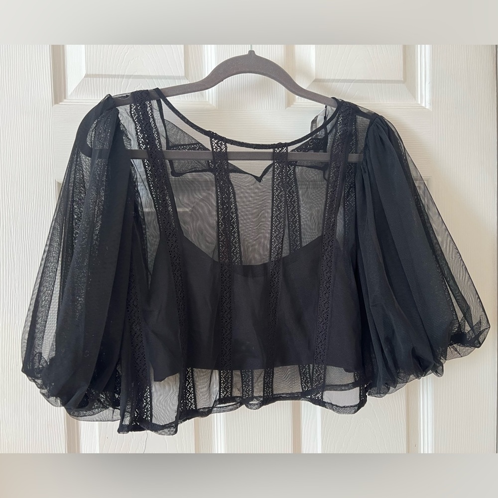 Zara Trafaluc Black Tulle Crop Top